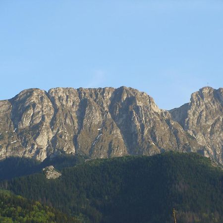 Villa Jedrus Zakopane Exterior foto